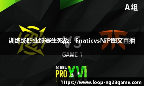 南宫28(NG28)平台